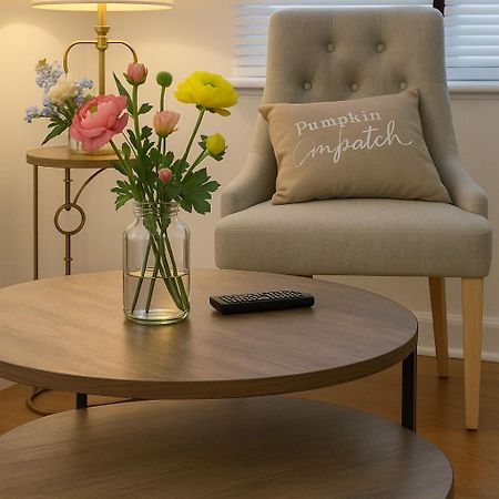 Beautiful Bright Three Bedroom House In Brighton And Hove With Free Parking Exteriér fotografie